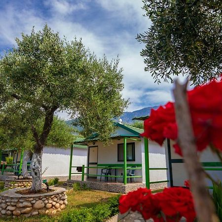 Chalet Ambel Dhërmi Zewnętrze zdjęcie