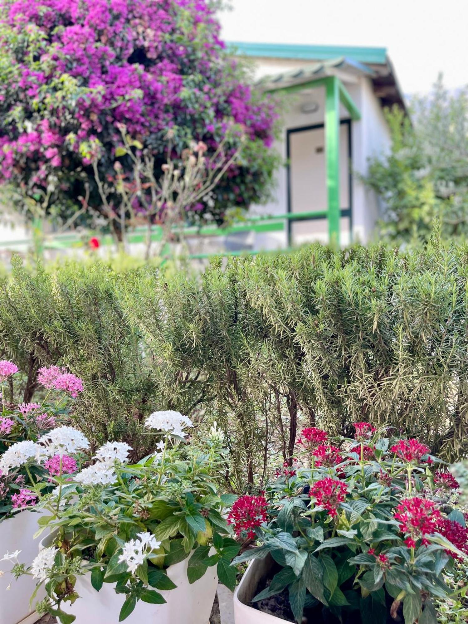 Chalet Ambel Dhërmi Zewnętrze zdjęcie