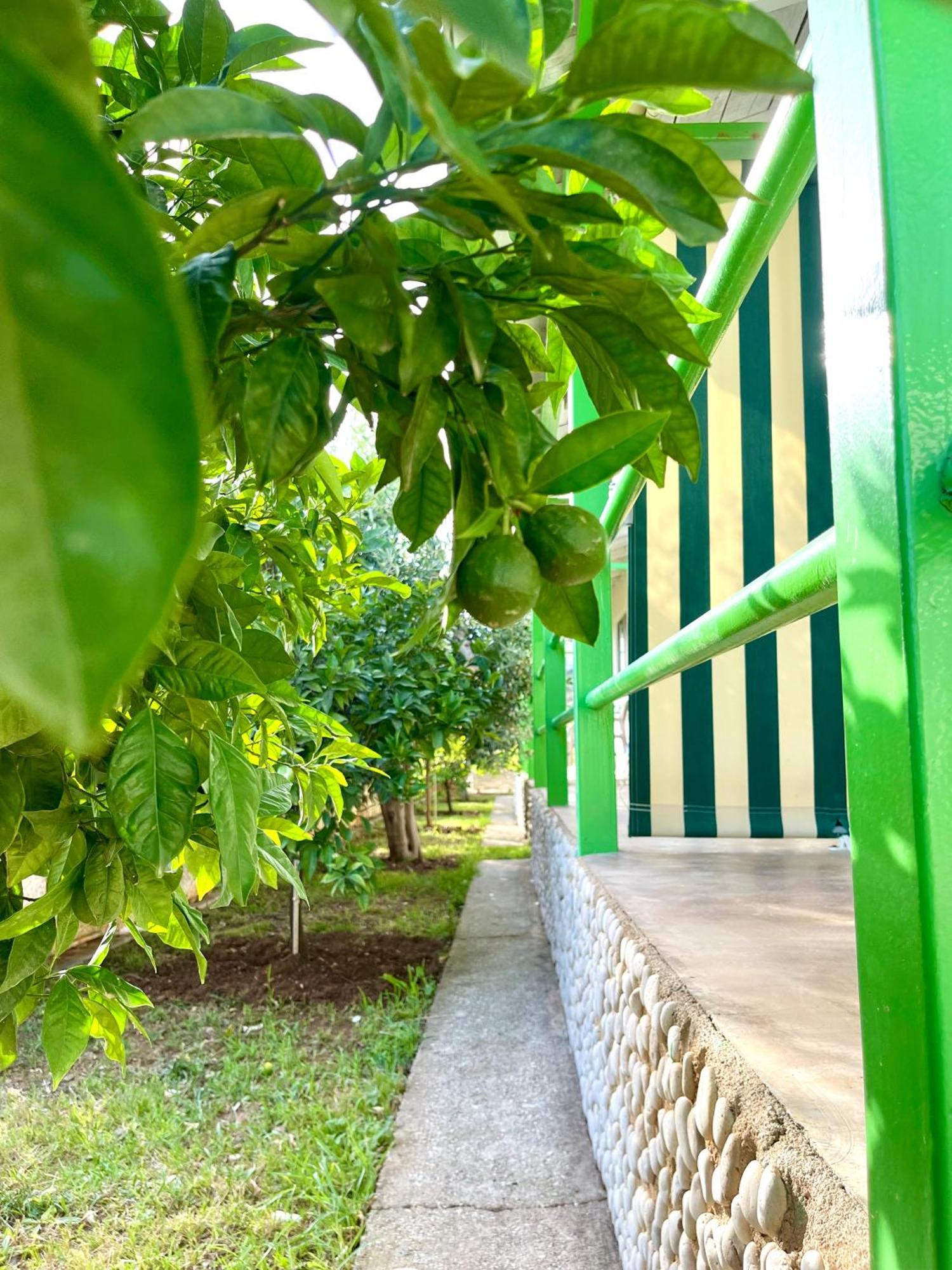 Chalet Ambel Dhërmi Zewnętrze zdjęcie