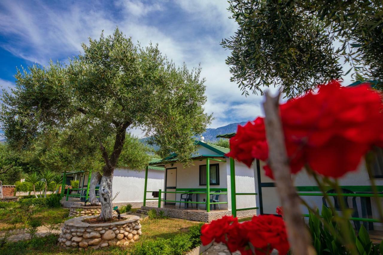 Chalet Ambel Dhërmi Zewnętrze zdjęcie